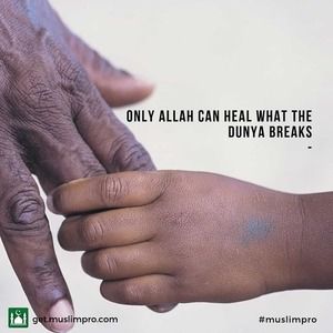 Meet your Posher, Tamir